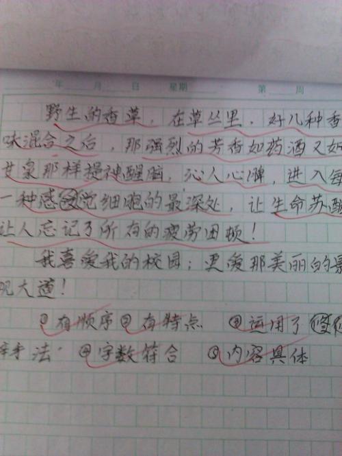 高中二年级学生作文：花舞与春天_900字