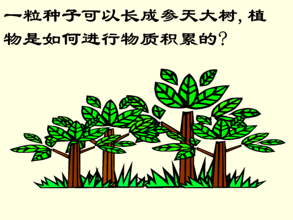 小学二年级讨论文件：给别人一个种子_900字