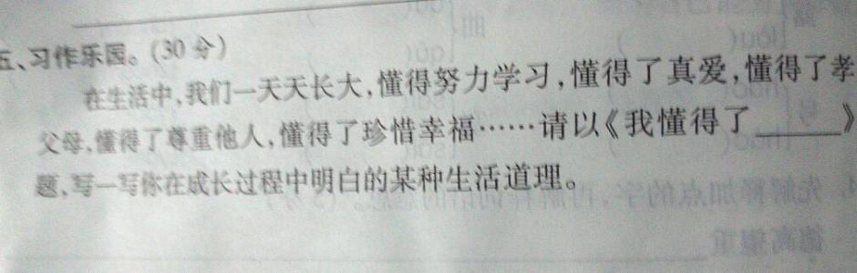 [中期论文]我懂得珍惜友谊_1200字