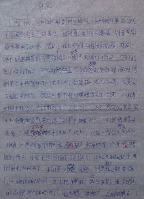 我的好朋友_300字