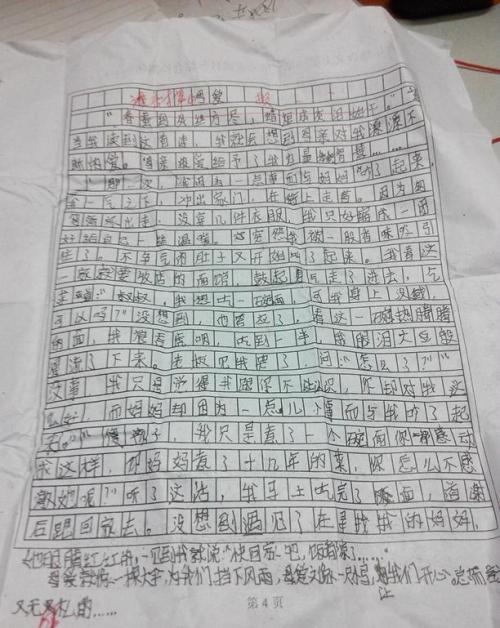 关于同学的作文：女高中英雄500字