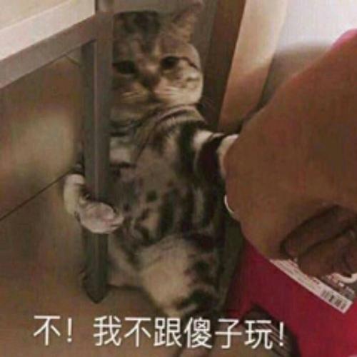 狡猾的男孩