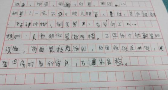 [过年征文]新年_400字