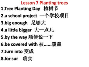 关于植树节的英语作文：Planting Trees植树_550字