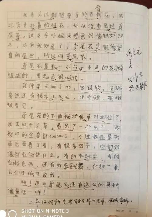 2013年北京高考同题试卷：技术与生活_1200字