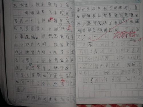 高中二期末考试作文：丑是财富_750字