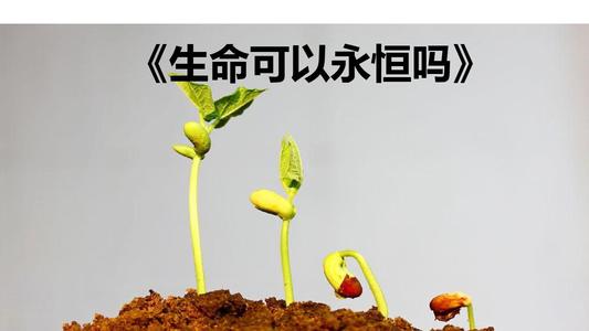 [PK赛]关于人生的构图：人生永恒的运动_1000字