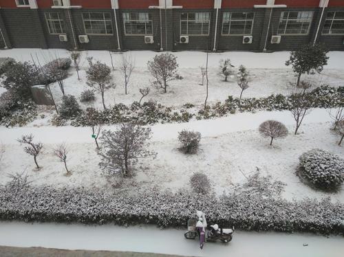 江汉的雁鹅和梅花稀薄，无尘，雪和云层上升，夜晚的窗户就像白天。