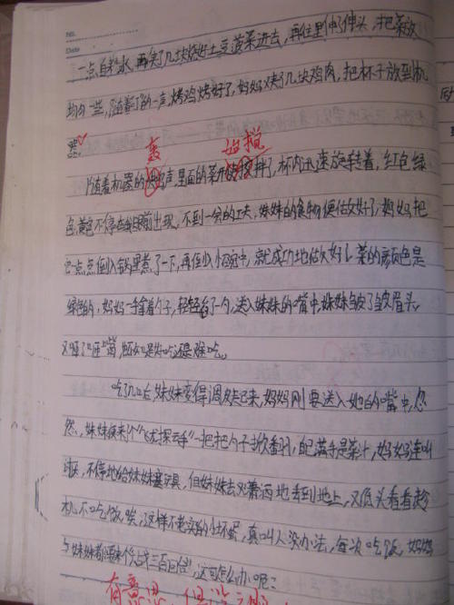 首页_600字