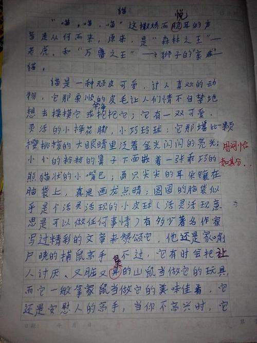 2007江苏省高考优秀作文：天空思维（六）_900字