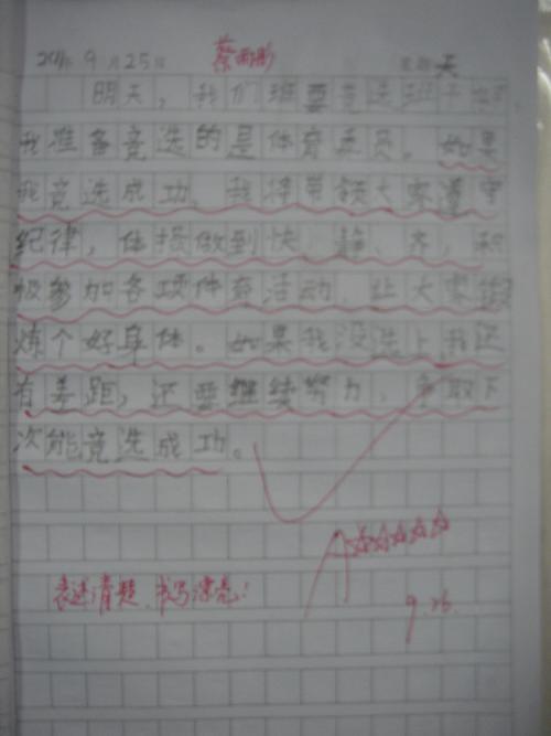 艺术委员会选举草稿_500字