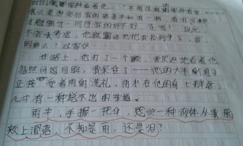 写作构成：我的两个母亲750字