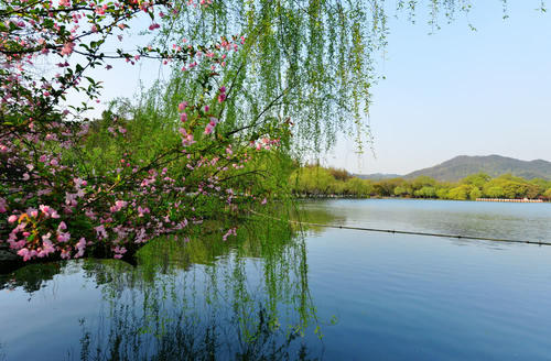 在江南尽头，早梅花盛开之后，春节和垂柳将被分割。