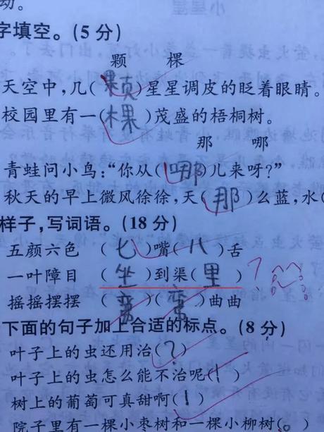 试卷签发后_300字