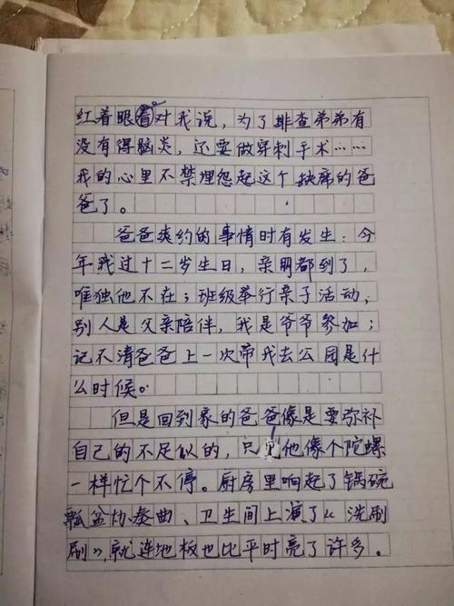 北湖“雨虹” _700字