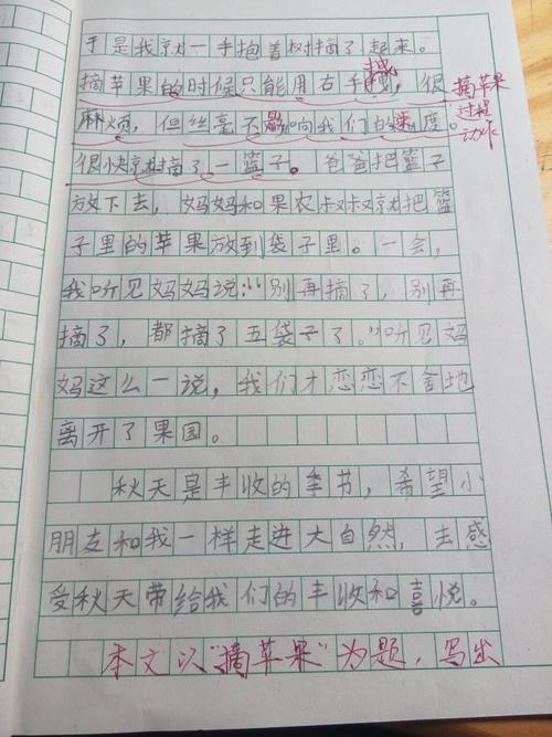 丰富的课余生活_300字