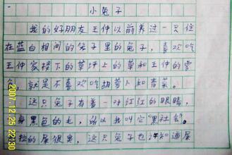 学校计划构成（9）_250字