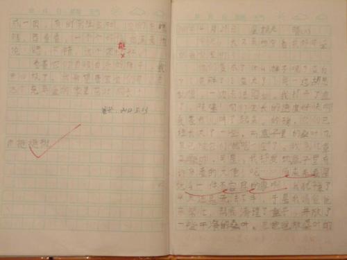 三年级的延续，改写和扩展：“大豌豆的漫游故事”的组成延续_150字