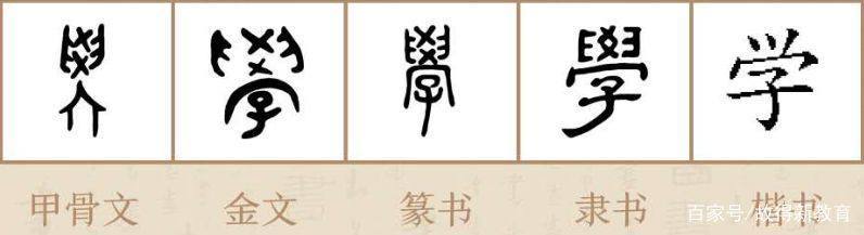 约_900个字