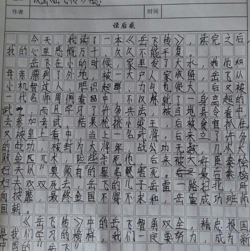 关于阅读《岳飞传》 _250字的思考