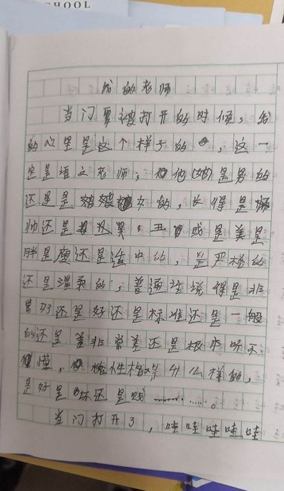 我的中文老师_400字