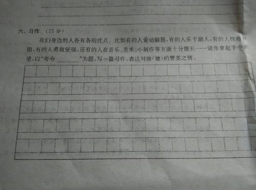 今天我要当导演_350字