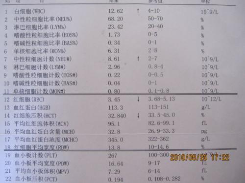 重温我的成长历程_900字