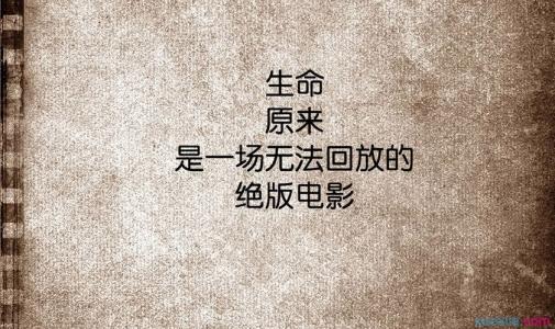 青春的颜色_800字