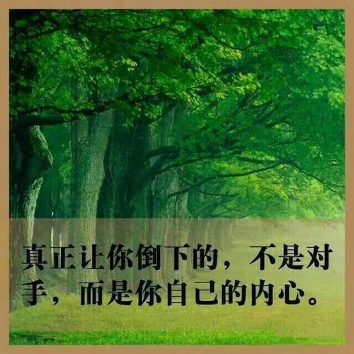 真正的对手不是别人，而是自己_1000字