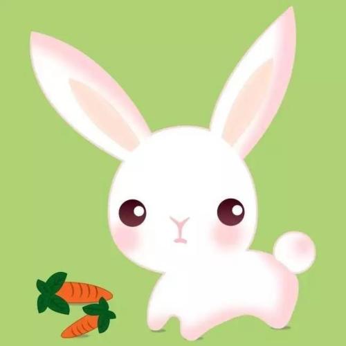 可爱的小白兔子