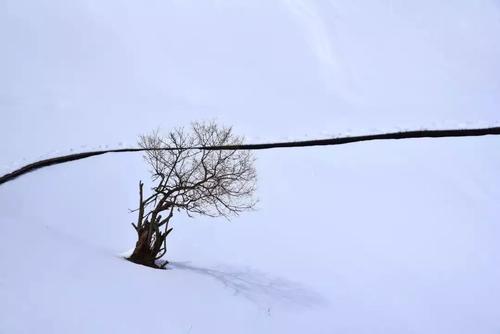 最后一场雪