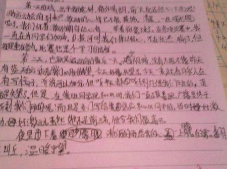 运动会的组成：难忘的运动会_700字