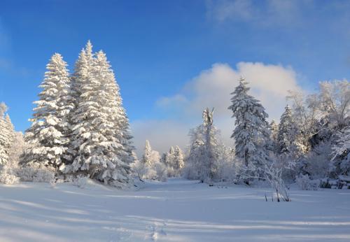 关于雪景的构图：白色snow_700个单词
