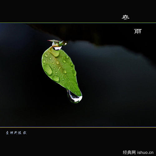 春雨_400字