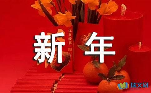 新年文集：新年快乐_500字