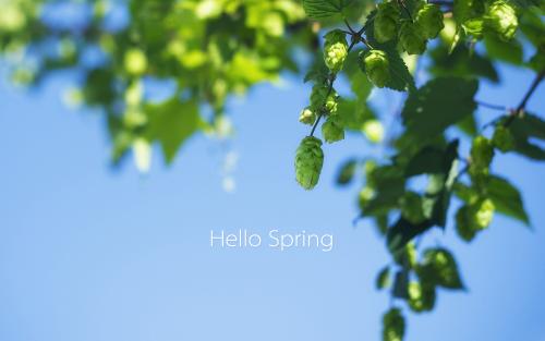 你好春天
