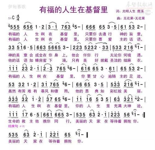 我的生活_250字