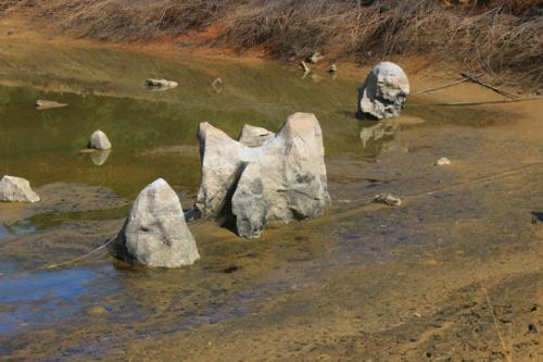 掉进水里