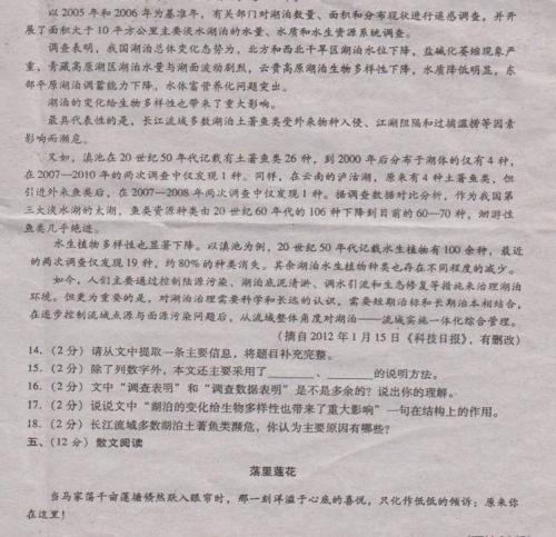 2009年高考优秀作文材料：李白心中