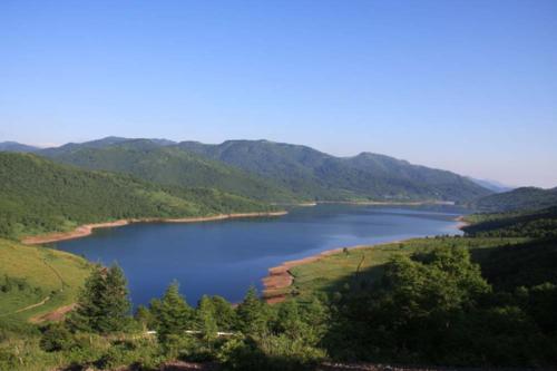 美丽的风景