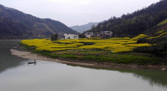 拥抱风景