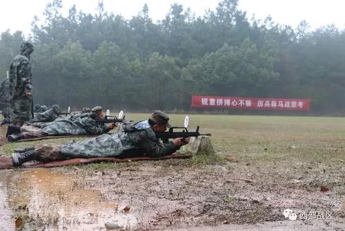 在风雨中壮成长