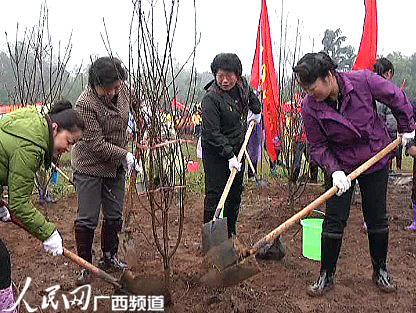 记住植树活动