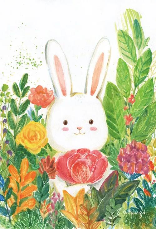 兔子的幸福生活