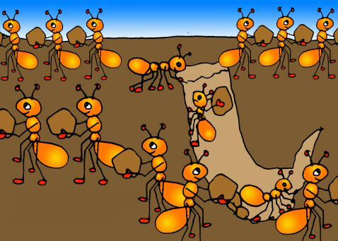 蚂蚁运动的启示