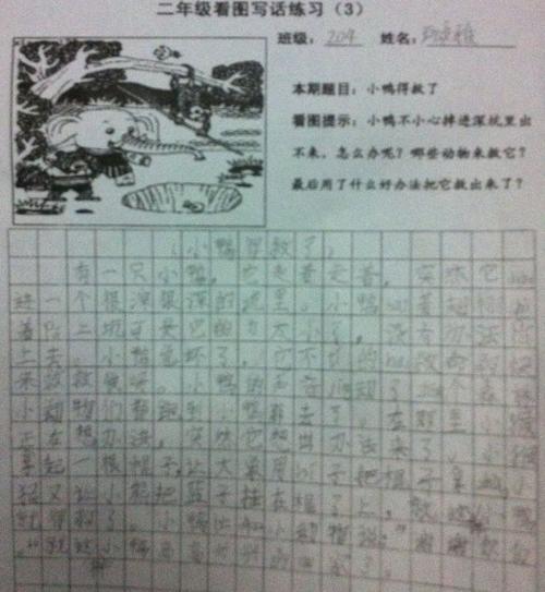 小鸭被保存_650个单词