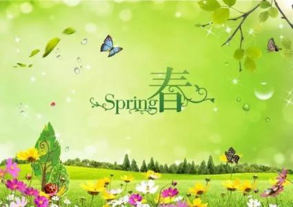 Spring_1500个单词