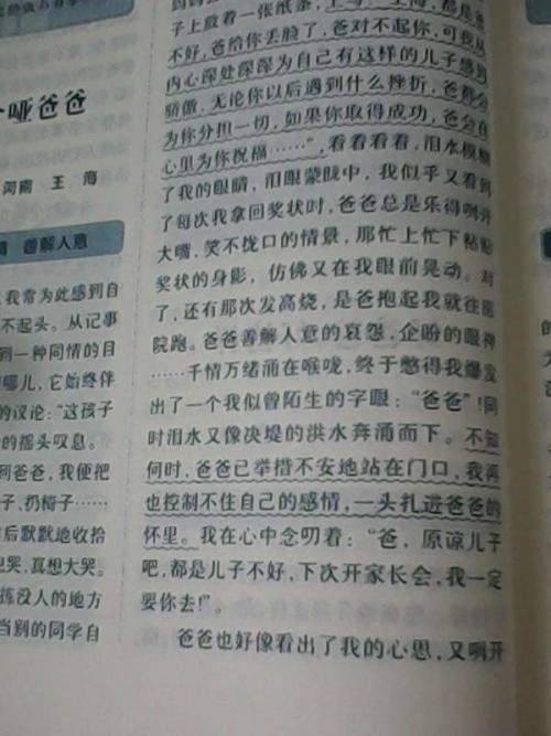 丰台区初中三级考试作文_700字