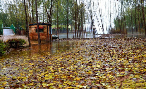 秋天的雨和感冒