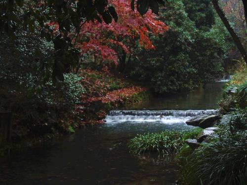 雨使我陶醉